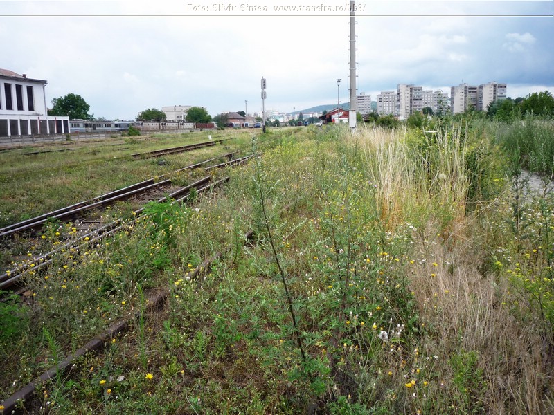 Targu Mures -iulie 2014 (120).jpg