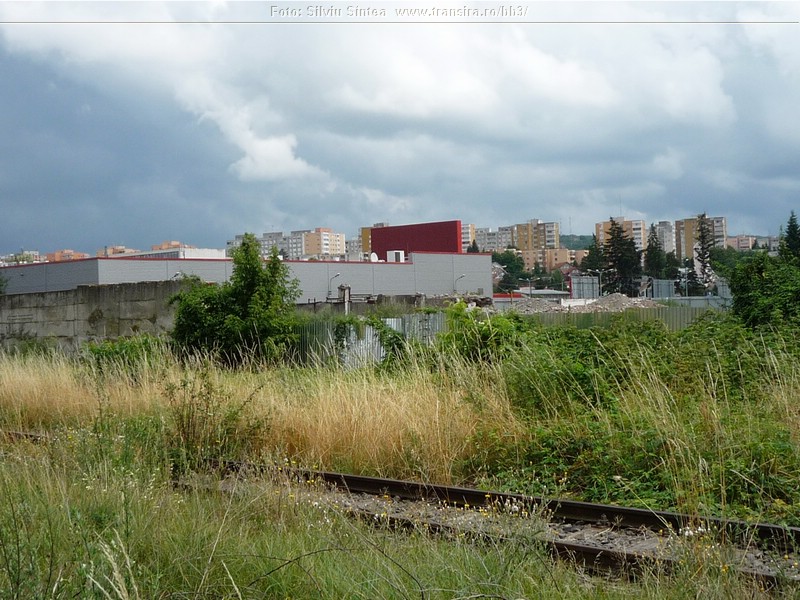 Targu Mures -iulie 2014 (126).jpg