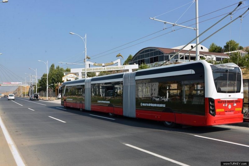 trambus 2.jpg