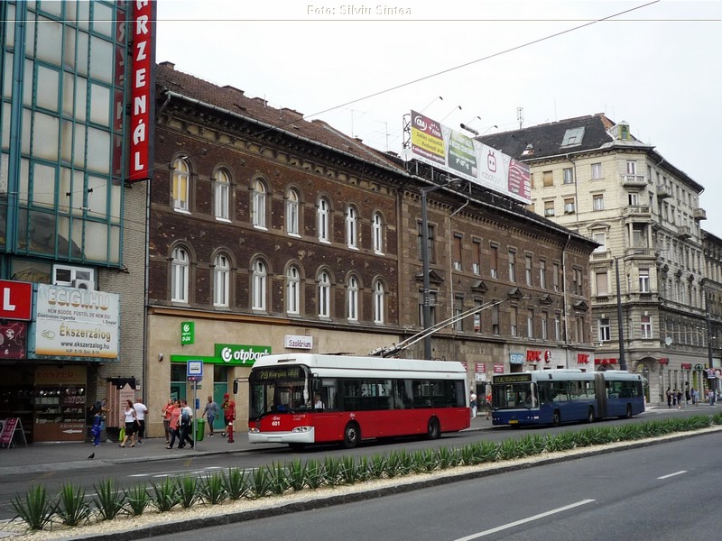 Budapesta 2014 (85).jpg