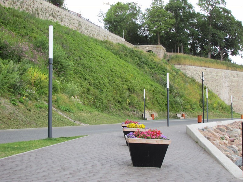 Narva 2015 (19).jpg