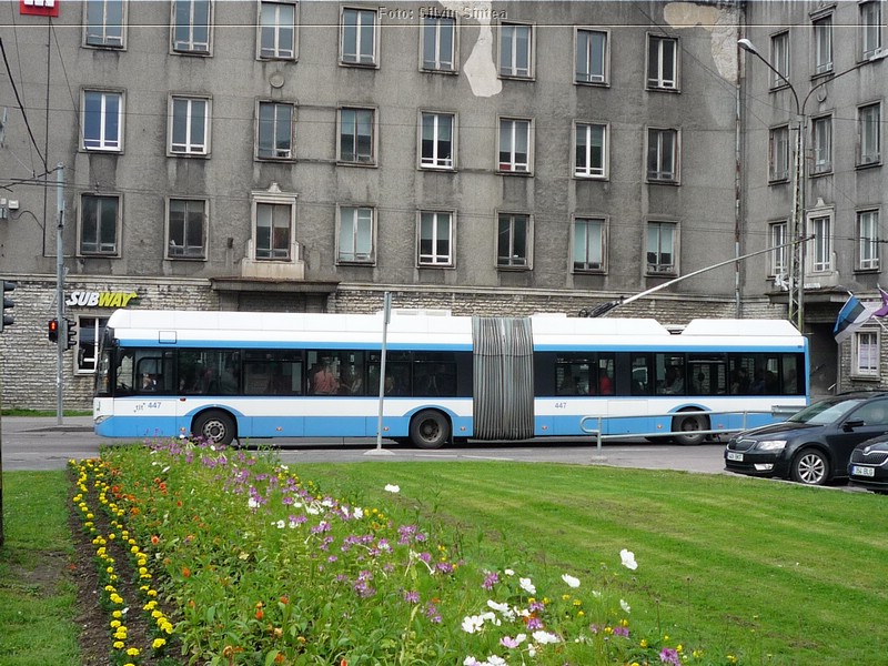 Tallinn trolleybus 2015 (514).jpg