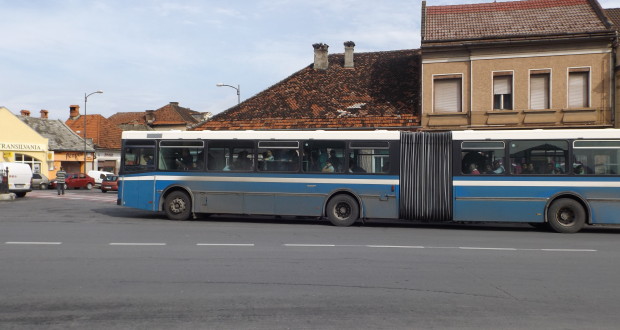 autobuze-sacele.jpg