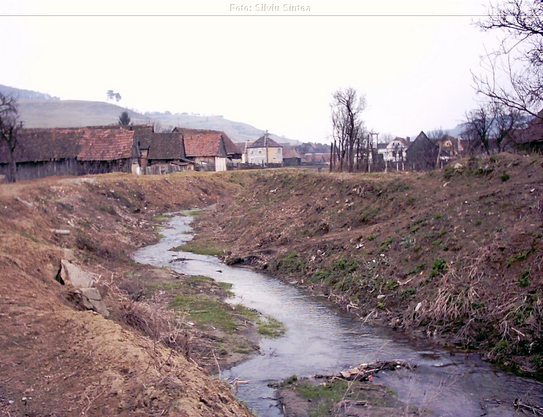 Sarosu pe Tarnave 05.04.2004  (4).jpg