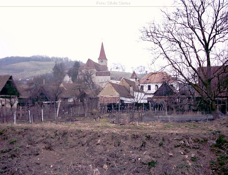 Sarosu pe Tarnave 05.04.2004  (7).jpg