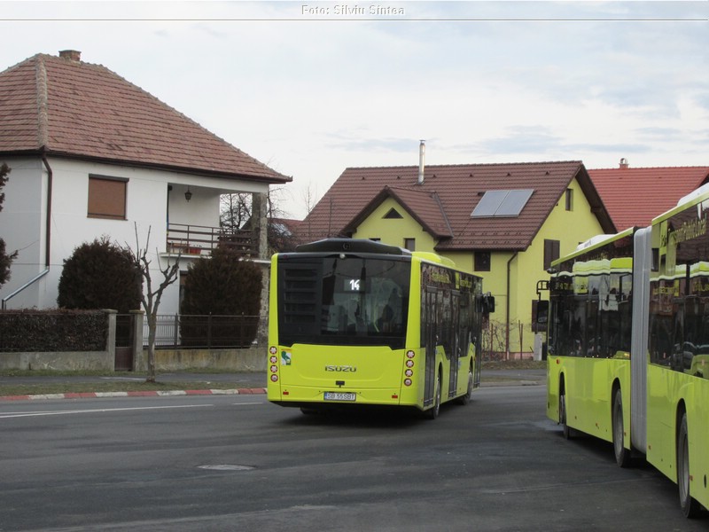 Sibiu 02.02.2019 (11).jpg