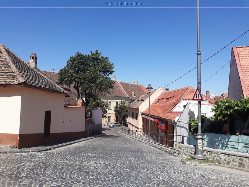 Sibiu 11.07.2020 (94).jpg