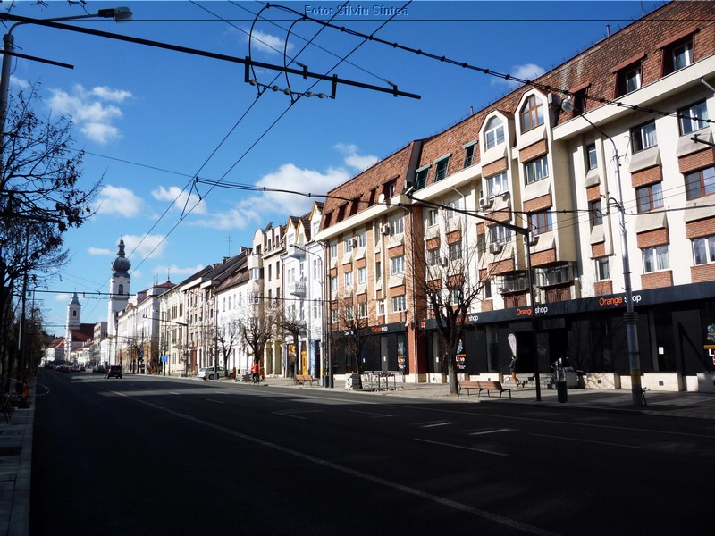 Cluj Napoca 12.02.2022 (110).jpg