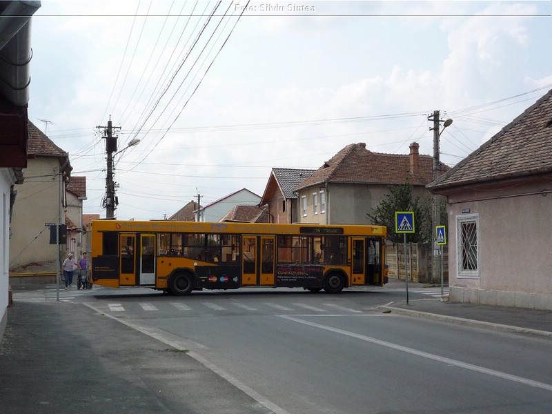 Sibiu 27.08.2018 (261).jpg