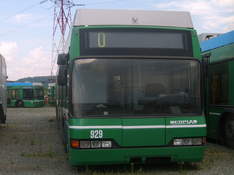 BVB 929.JPG