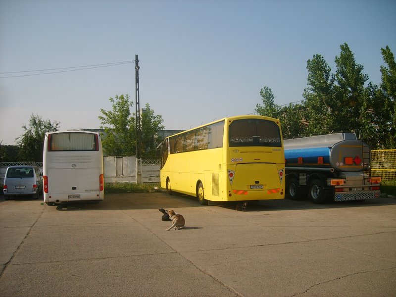 b 63 ncn -Depou Autobuze 7.JPG
