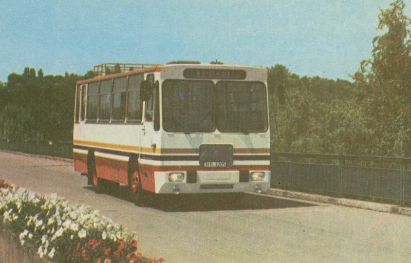 bus 0109.JPG