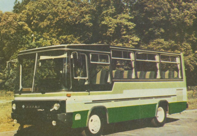 bus 0125.JPG
