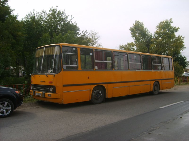 66 bus y.JPG