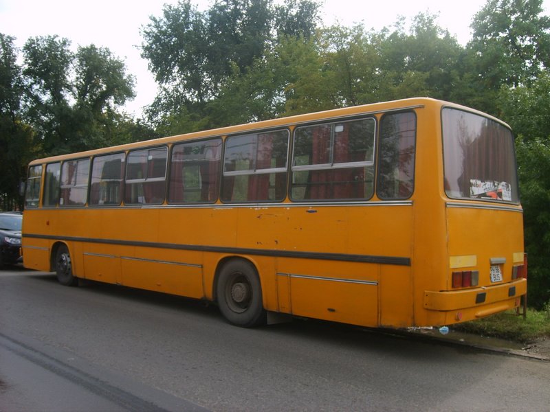66 bus 1.JPG