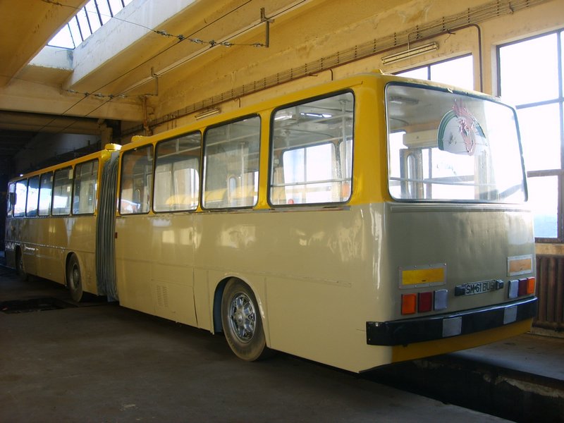 61 bus y.JPG