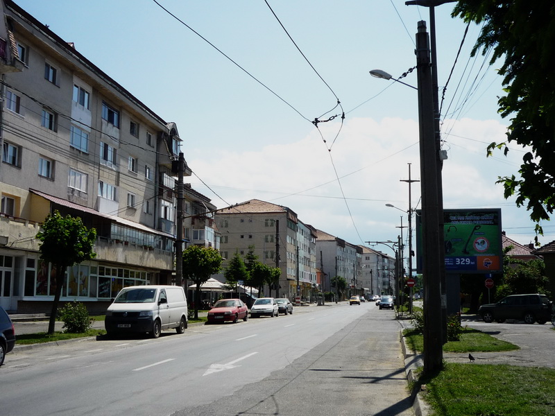 Sibiu tramvai-troleibuz 25.05.2014.jpg