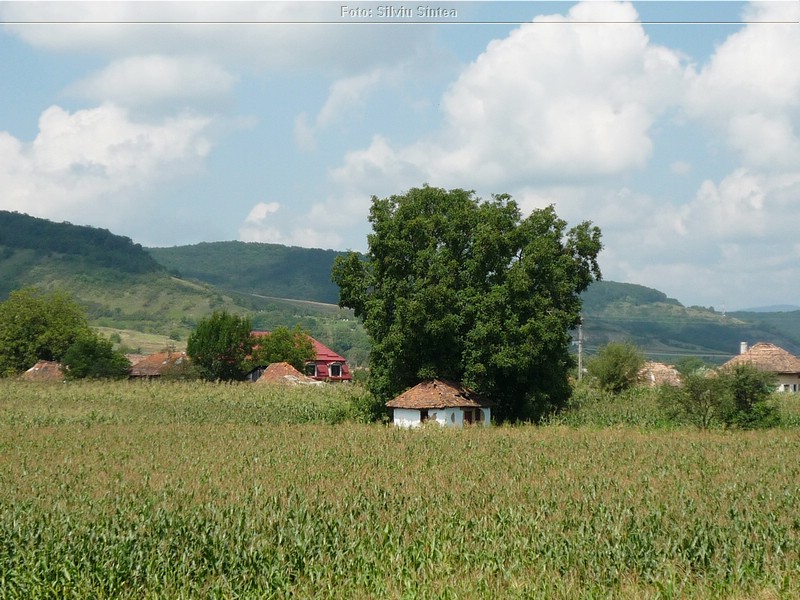 Tarnaveni-Praid, august 2014 (160).jpg