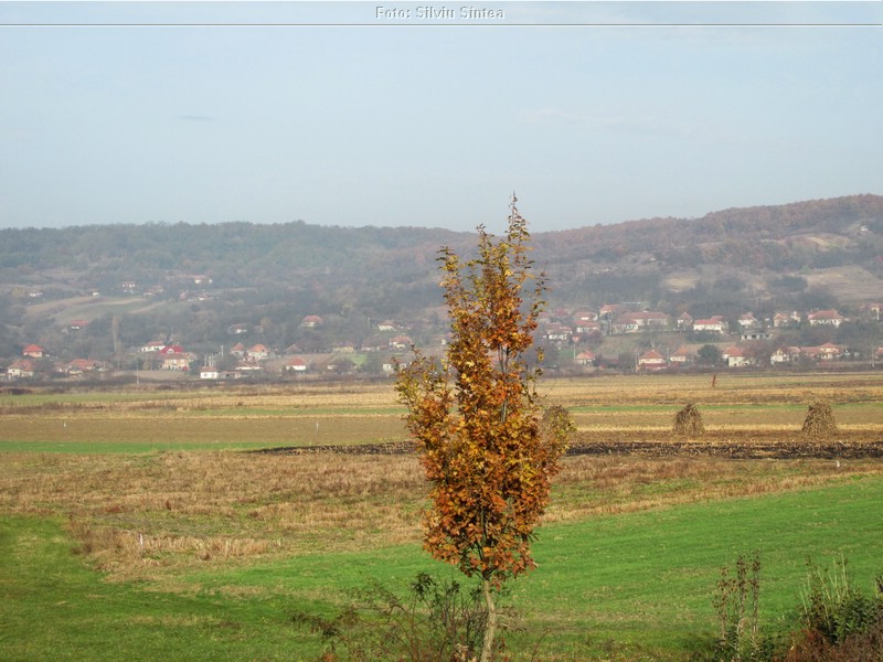 Tasnad-Cluj (6).jpg