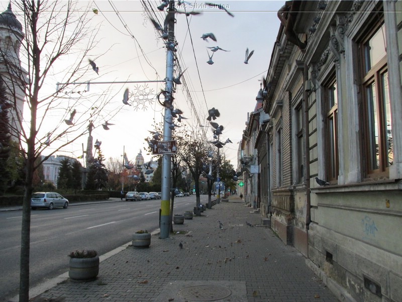 Cluj Napoca 30.10.2016 (47).jpg