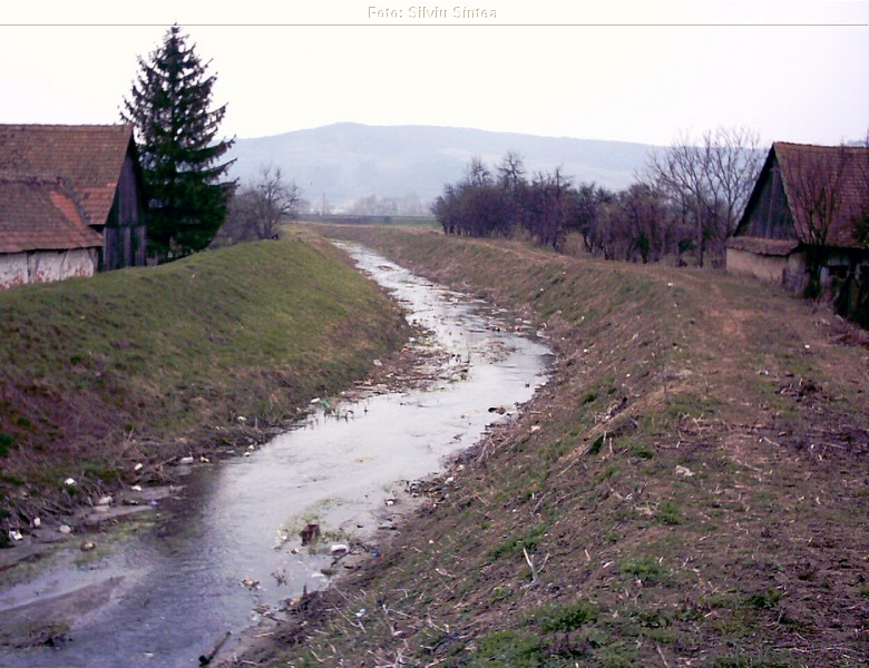 Sarosu pe Tarnave 05.04.2004  (1).jpg