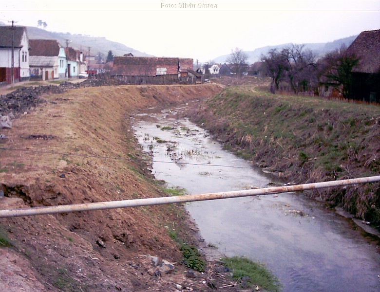 Sarosu pe Tarnave 05.04.2004  (2).jpg