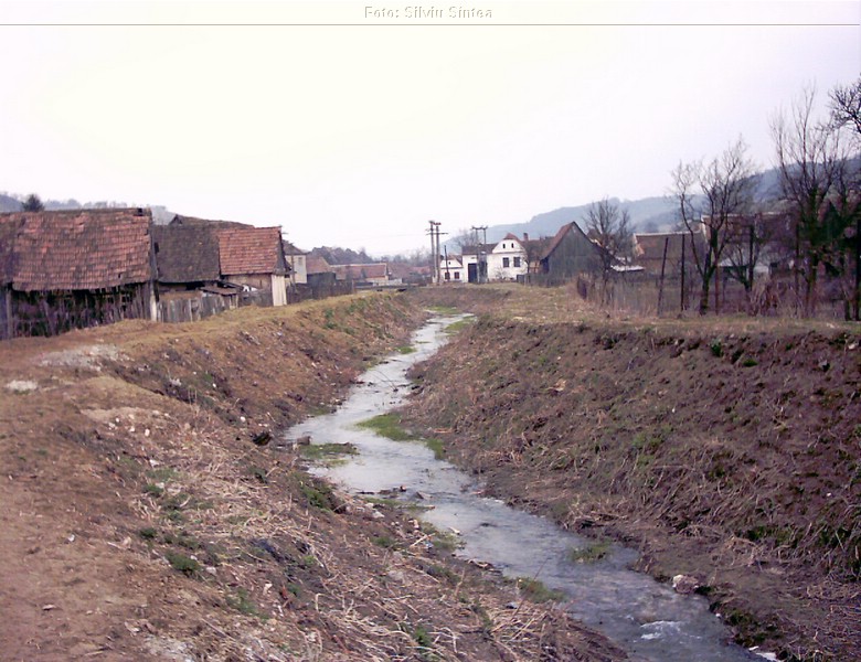 Sarosu pe Tarnave 05.04.2004  (6).jpg