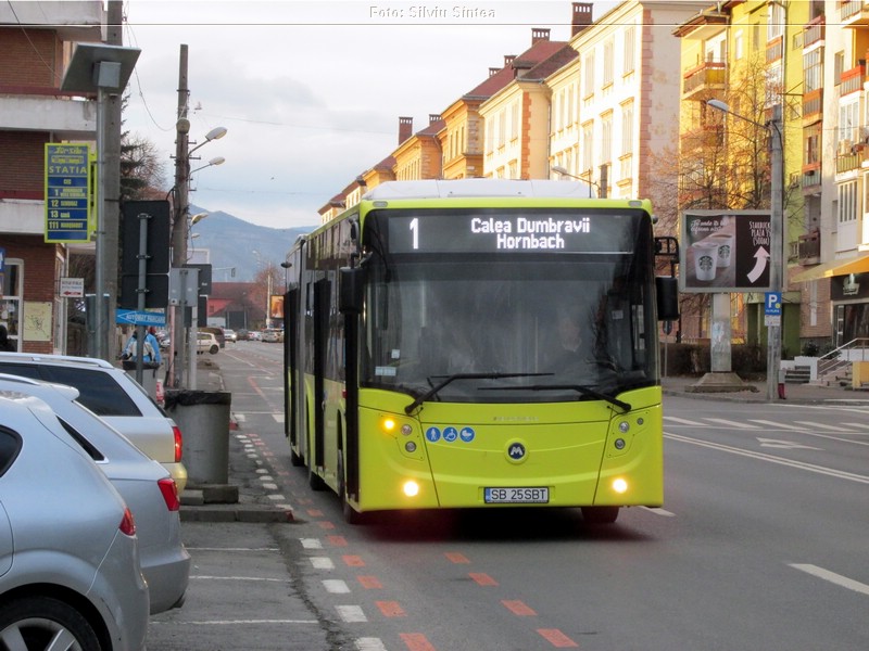 Sibiu 02.02.2019 (1).jpg