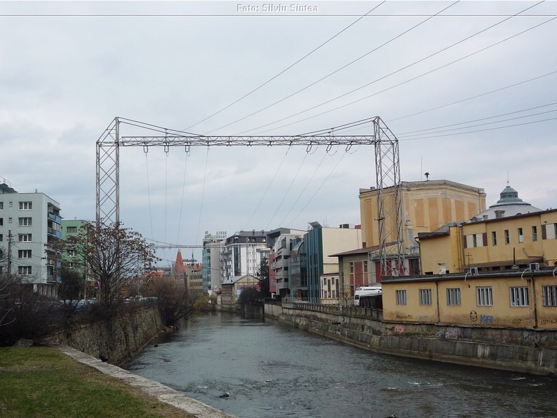 Cluj Napoca 15 martie 2019 (14).jpg