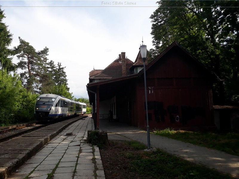 Ocna Sibiului 08.06.2020 (34).jpg