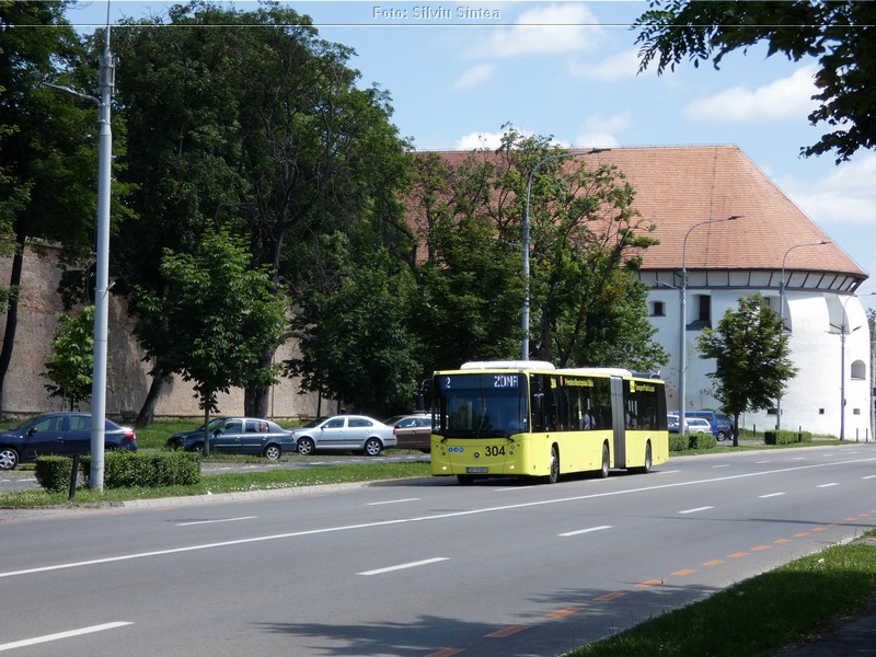 Sibiu 27.06.2021 (80).jpg