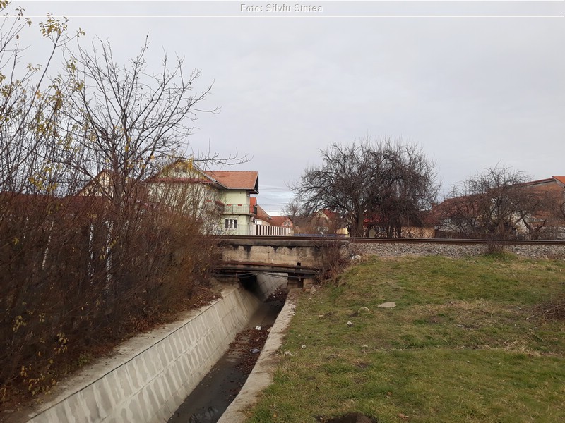 Sibiu 5.12.2021 (71).jpg