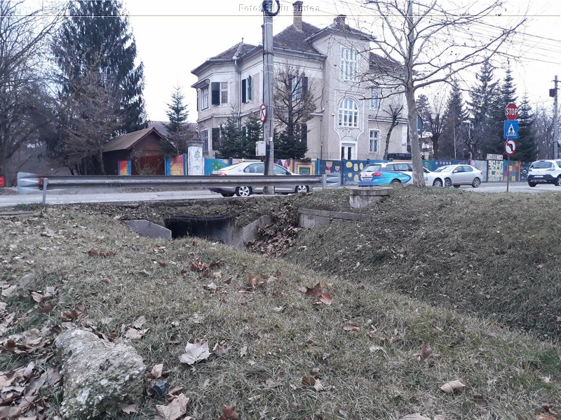 Sibiu 13.01.2022 (35).jpg