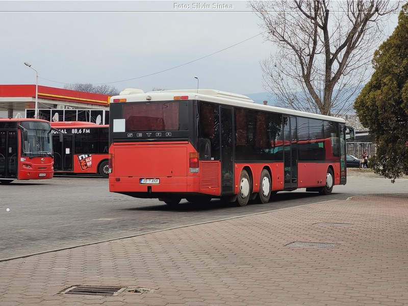 Alba Iulia 26.02.2022 (43).jpg