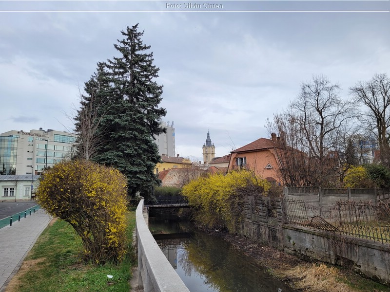 Cluj Napoca 01.04.2022 (20).jpg