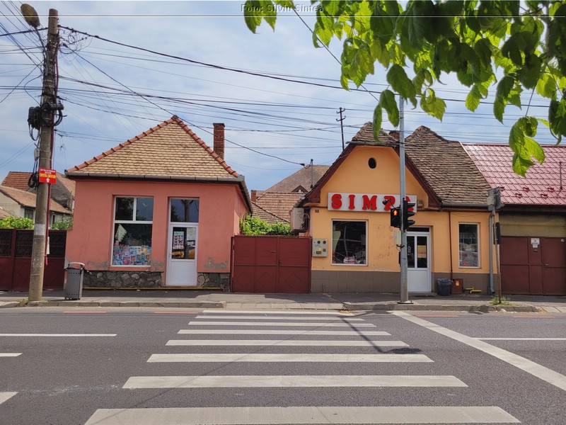 Sibiu 04.06.2022 (73).jpg