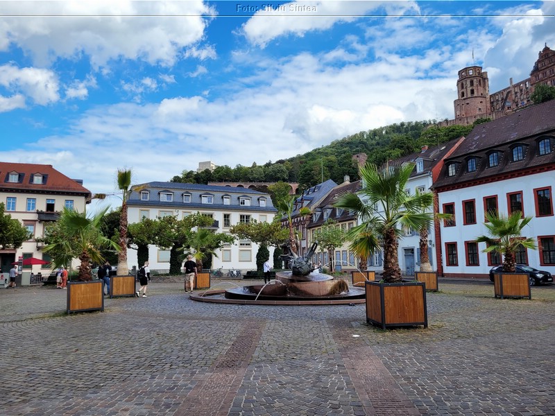 Heidelberg 20.08.2022 (53).jpg