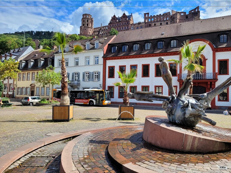 Heidelberg 20.08.2022 (56).jpg