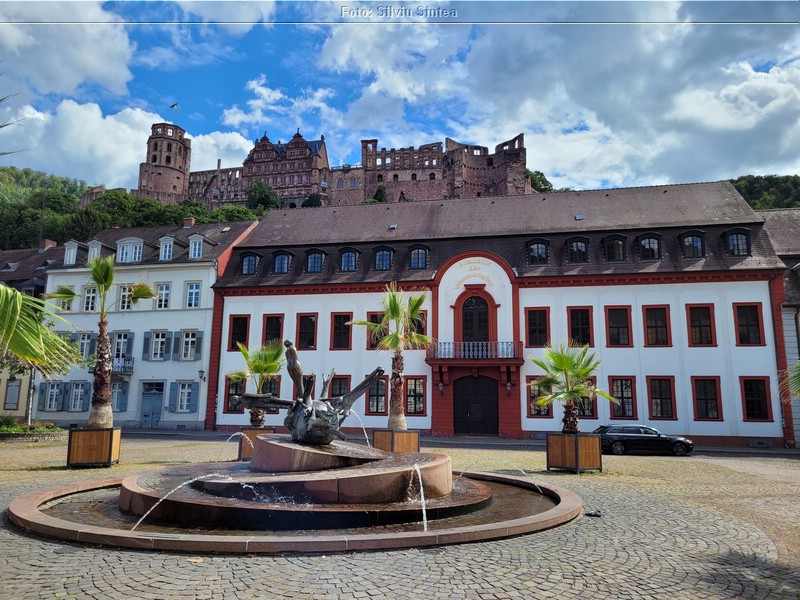 Heidelberg 20.08.2022 (58).jpg