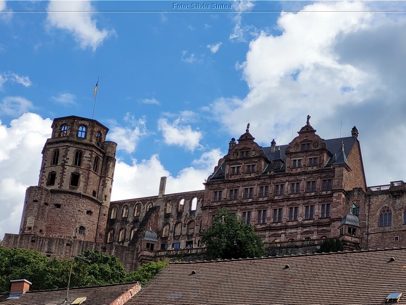 Heidelberg 20.08.2022 (59).jpg