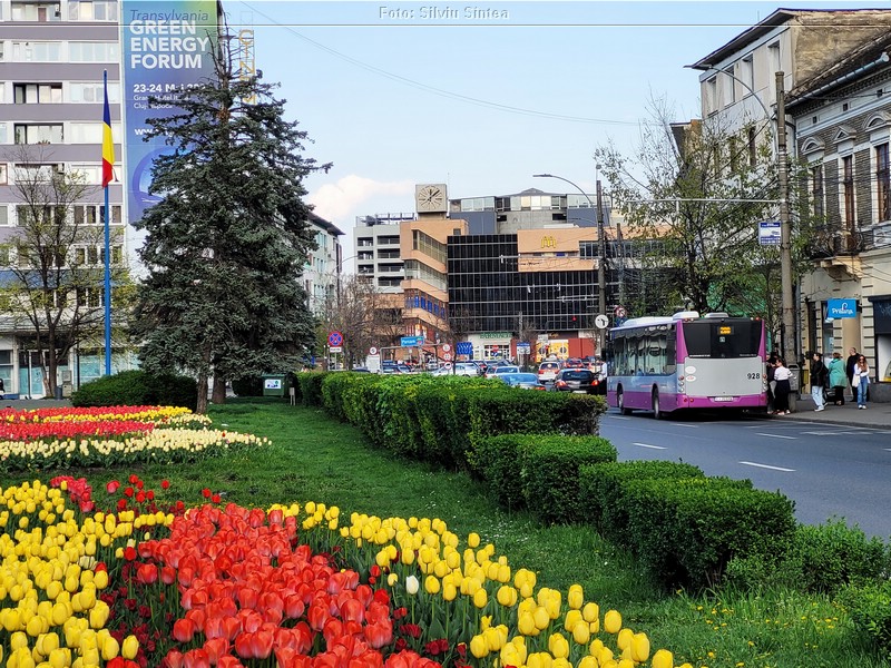 Cluj Napoca 22.04.2023 (83).jpg