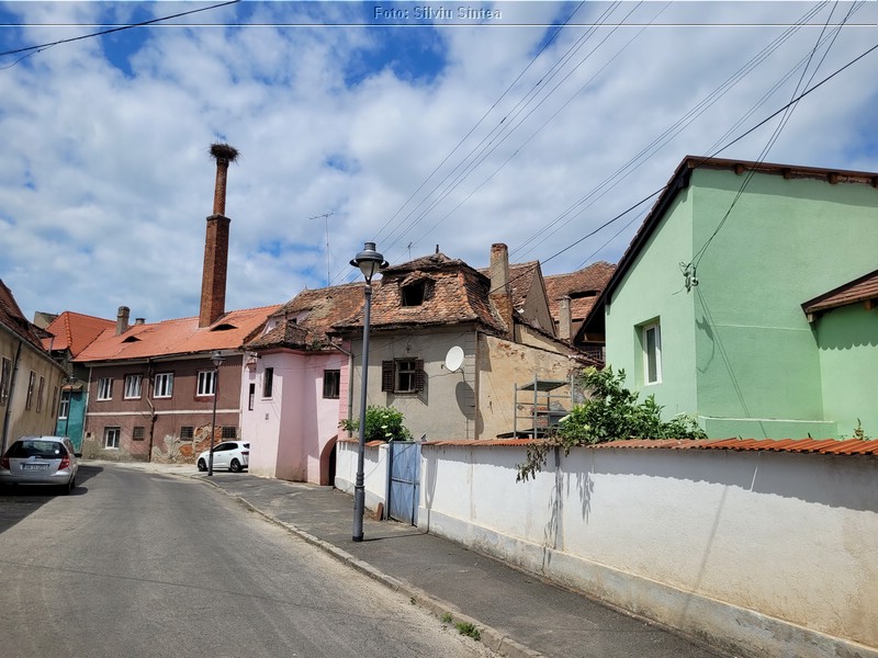 Sibiu 04.06.2023 (22).jpg